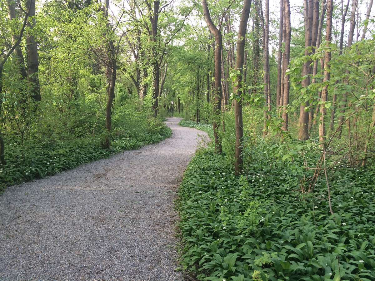 2014-04-18 18-15-48.JPG